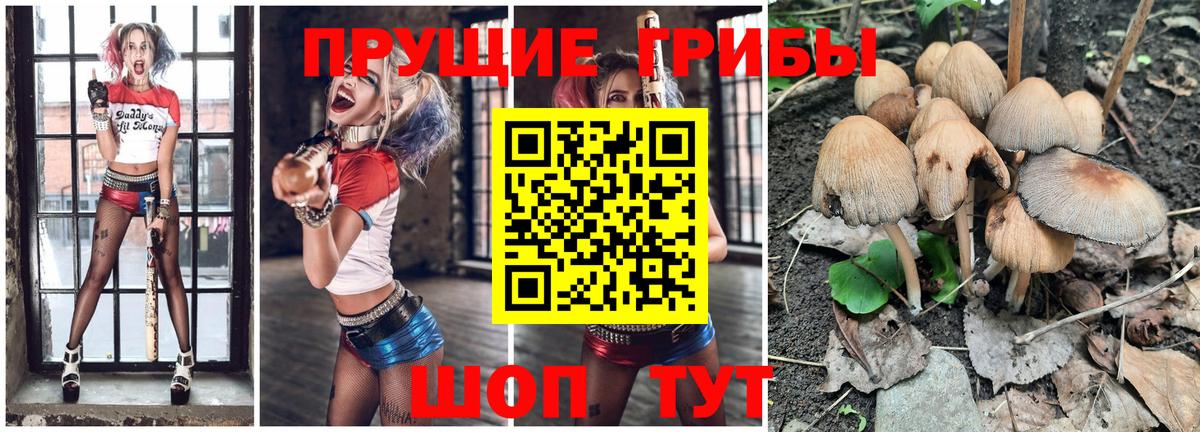 Псилоцибиновые грибы мицелий Йошкар-Ола